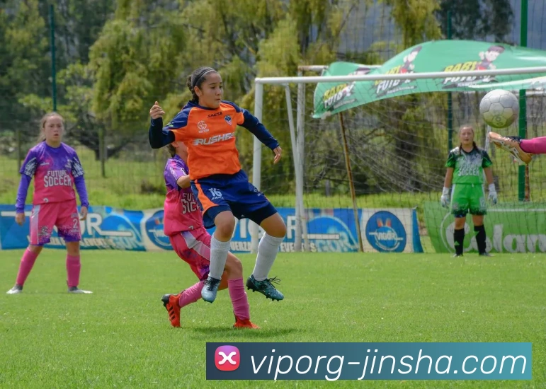 多媒体互动体验